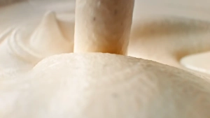 Cremissimo - Treasure hunt (Directors cut)