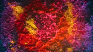 Hibiki - Suntory Whiskey