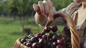 Село Зеленое. Фермерские продукты.mp4